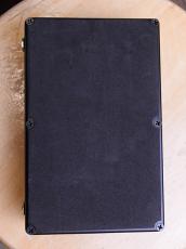 Carl Martin Greg Howe's LICK BOX_3