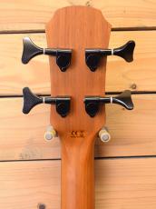 ARIA FEB-P2 FL/STBR_4