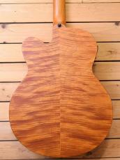 ARIA FEB-P2 FL/STBR_5