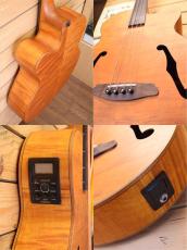 ARIA FEB-P2 FL/STBR_6