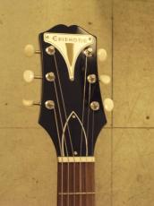 Epiphone CORONET_4