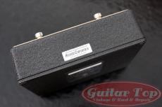 Mesa/Boogie Throttle Box EQ_6