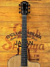 Taylor 214ce Plus Rosewood【オールグロス仕上げ】【48回無金利】_3