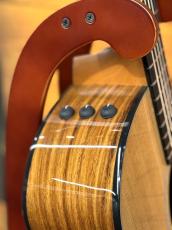 Taylor 214ce Plus Rosewood【オールグロス仕上げ】【48回無金利】_11