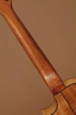 Tony Graziano Tenor Koa Cutaway_7