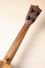 Martin 【サペリ単板・テナー】T1 Uke FSC #36062【Martinチューナ-&クロス・送料当社負担】_8