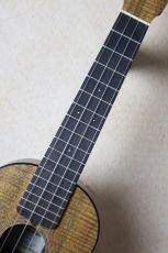 Martin 0XK Concert Uke #11915 【Martinチューナ-&クロス、教本付き・送料当社負担】_5