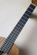 Martin 【ハワイアンコア単板・テナー】T1K Uke #38288【Martinチューナ-&クロス、教本付き・送料当社負担】_5