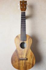 Martin 【ハワイアンコア単板・コンサートサイズ】 C1K Uke #38399【Martinチューナー&クロス付き】_2