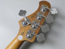 Bacchus WL5-STD/RSM / CHG-S【4.14kg】_9