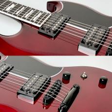 E-II VIPER FL -See Thru Black Cherry- #ES6845243【3.12kg】_10