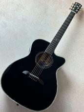 K.Yairi 【黒金の格好いいカラーリング!!】WY-2 BK #95424【春のビックセール・5/6(水)まで】_2