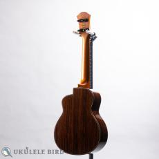 aNueNue aNN-UC330_11