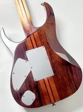 Ibanez 【受注生産品】IV1RG ≒4.10kg_10