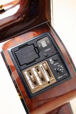 Takamine 【美しいグリーンカラー】LTD2025 Antique Evergreen #63020442【春のビックセール・5/6(水)まで】_11