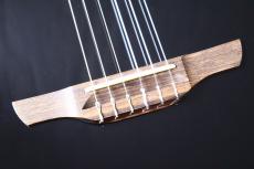 Takamine 【薄胴ボディ・ナット幅42mm】 TSP100 KT-N #63050317 【春のビックセール・5/6(水)まで】_3