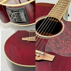 Takamine 【人気カラー】DMP551C WR #62080035【最大48回分割無金利】_5