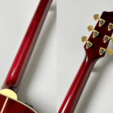 Takamine 【人気カラー】DMP551C WR #62080035【最大48回分割無金利】_8