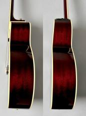 Takamine 【人気カラー】DMP551C WR #62080035【最大48回分割無金利】_10