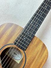 Taylor BT2【送料当社負担・最大48回分割無金利】_3