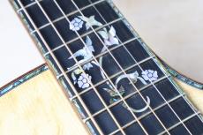 Taylor GA Custom プレミアムベアクロウスプルース×ホンジュラスローズ_5