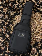 NAZCA エレキギター用 (ST/TE)