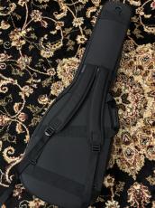 NAZCA エレキギター用 (ST/TE)_2