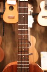 Kamaka HF-3 #241100【送料当社負担・最大48回分割無金利】_5