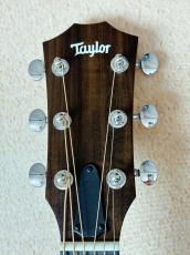 Taylor 【新製品!!】Taylor 14ce #2208285400【送料当社負担・最大48回分割無金利】_5