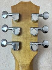 Taylor BT1e 【送料当社負担・最大48回分割無金利】_6