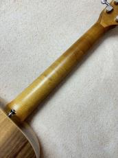 Taylor BT1e 【送料当社負担・最大48回分割無金利】_7