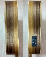 Taylor BT1e 【送料当社負担・最大48回分割無金利】_9