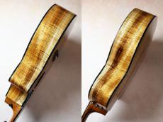 Taylor 【極上コア材・ファクトリー選定材】GA Custom  MasterGread Hawaiian Koa _11