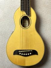 Washburn 【超コンパクトエレアコ!!】RO10E #SC16120125 【旅のお供に】