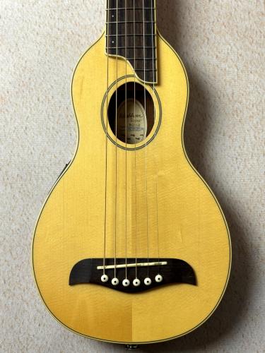 Washburn 【超コンパクトエレアコ!!】RO10E #SC16120125 【旅のお供に】