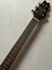 Washburn 【超コンパクトエレアコ!!】RO10E #SC16120125 【旅のお供に】_3