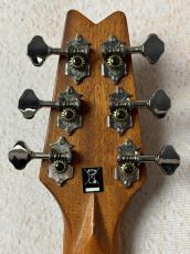 Washburn 【超コンパクトエレアコ!!】RO10E #SC16120125 【旅のお供に】_5