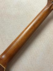 Washburn 【超コンパクトエレアコ!!】RO10E #SC16120125 【旅のお供に】_6