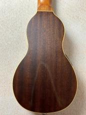 Washburn 【超コンパクトエレアコ!!】RO10E #SC16120125 【旅のお供に】_7