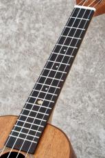 Leho LHUC-ASM 【オール単板】【コンサート】【クロサワ町田店】_4