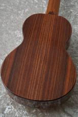 THE REBEL N.E.O Limited Edition Tenor【オール単板】【買取・下取強化中!】_9