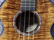 Kamaka 【ご予約受付中!】HF-3 D4I Jake Blue Edition 【町田店】_6