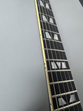 Aria Pro II PE-R100 -Antique Brown- #25507101 【4.10kg】_6