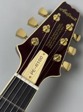 Aria Pro II PE-R100 -Antique Brown- #25507101 【4.10kg】_7