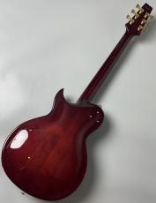 Aria Pro II PE-R100 -Antique Brown- #25507101 【4.10kg】_8