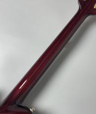 Aria Pro II PE-R100 -Antique Brown- #25507101 【4.10kg】_10