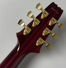 Aria Pro II PE-R100 -Antique Brown- #25507101 【4.10kg】_11