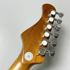 Bacchus BST-2-RSM/R -Burgundy Mist- 【3.86kg】_11