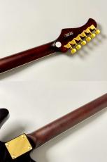 Bacchus BARON-CTM ALNICO -Black-_9