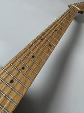 Bacchus TAC24AD-FMH RSM/M -Blue Burst-_5